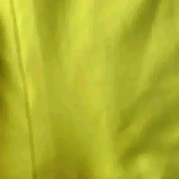 SKIMS NWT Citrus Recycled Swim Cut Out Mid Waist Boyshorts Size 4X - Picture 10 of 11